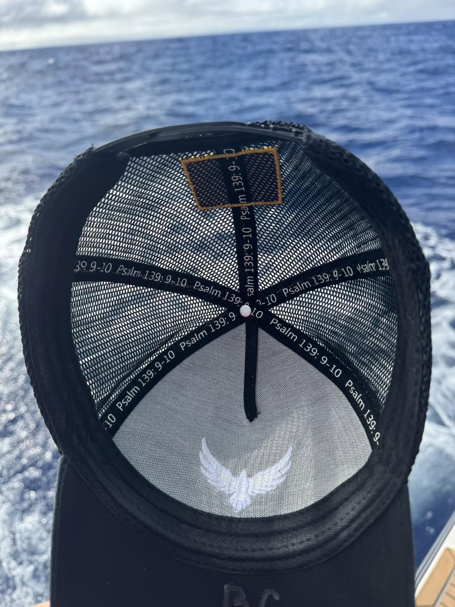 Blackwing on the water