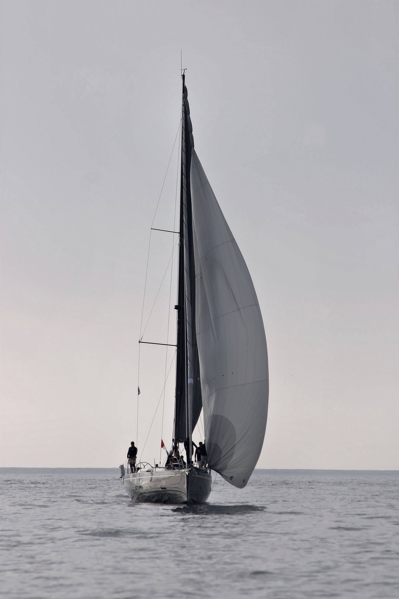 Whale watching aboard Blackwing off Dana Point