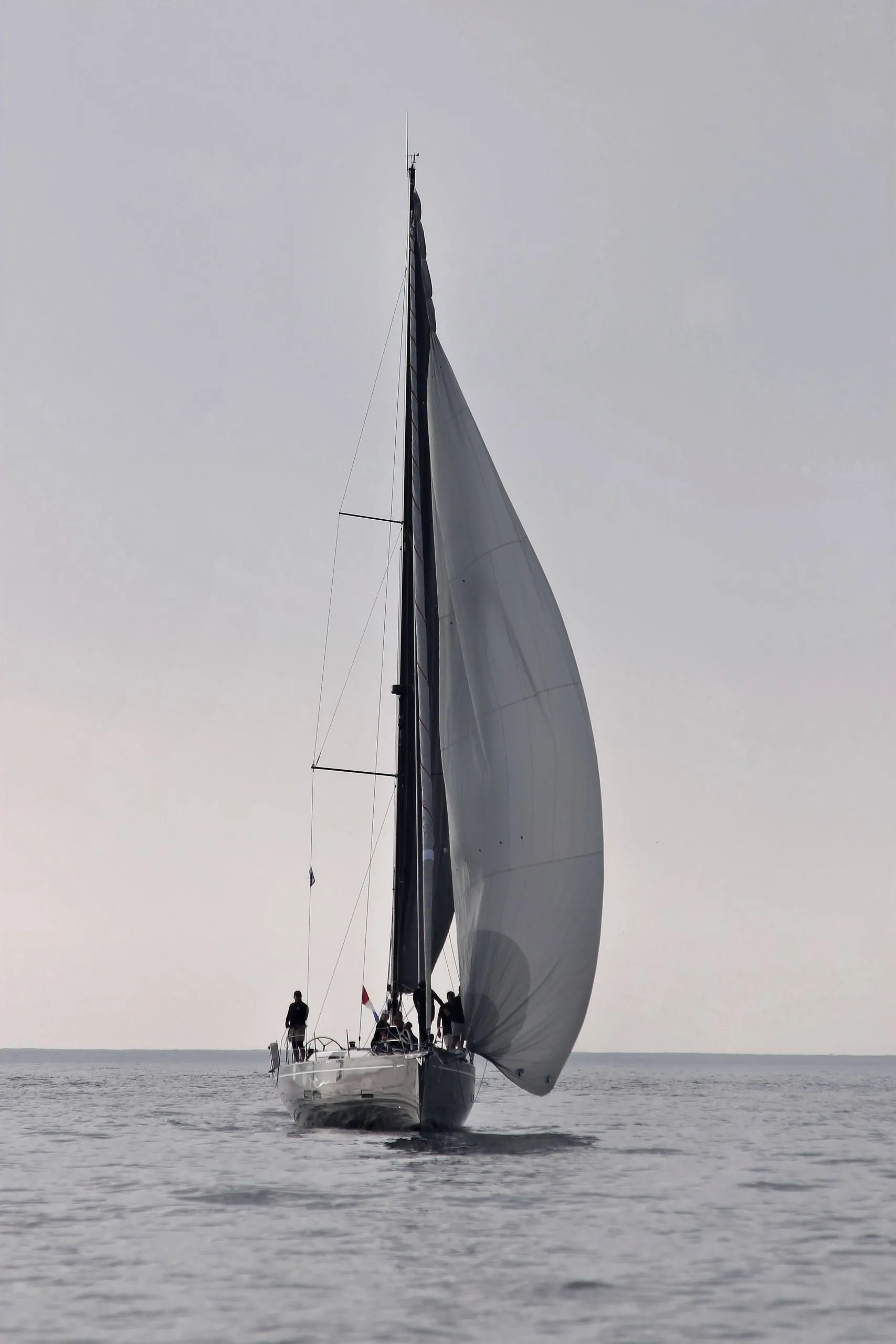 Blackwing under spinnaker on a calm Pacific evening